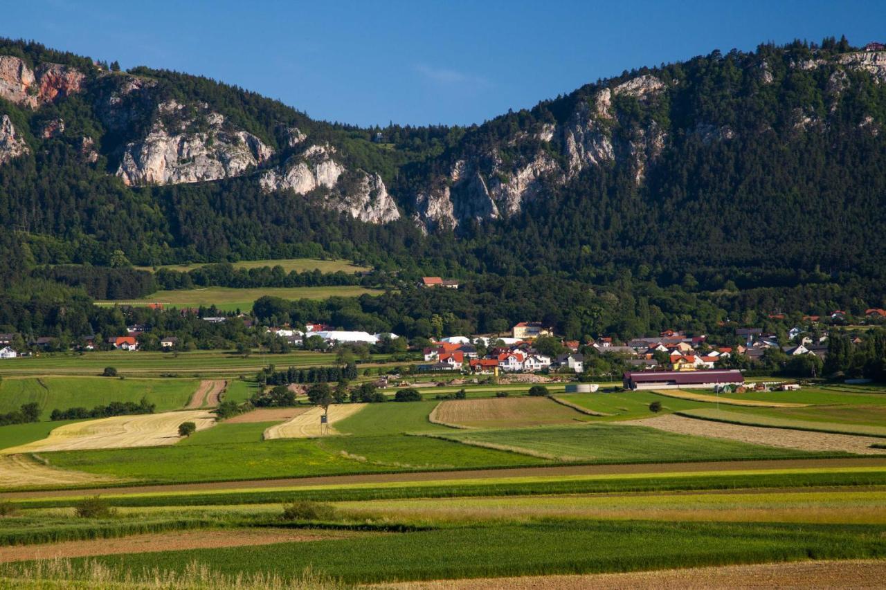 Готель Farmhouse - Hohe Wand Stollhof Екстер'єр фото